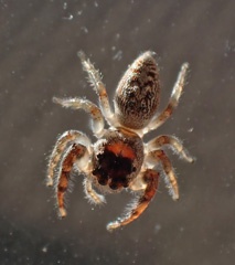 PB111079a.jpg